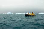 Desviando de pequenos icebergs a caminho do desembarque em Turret Point, em King George Island, na Antártida (foto de Jeff Orlowski)